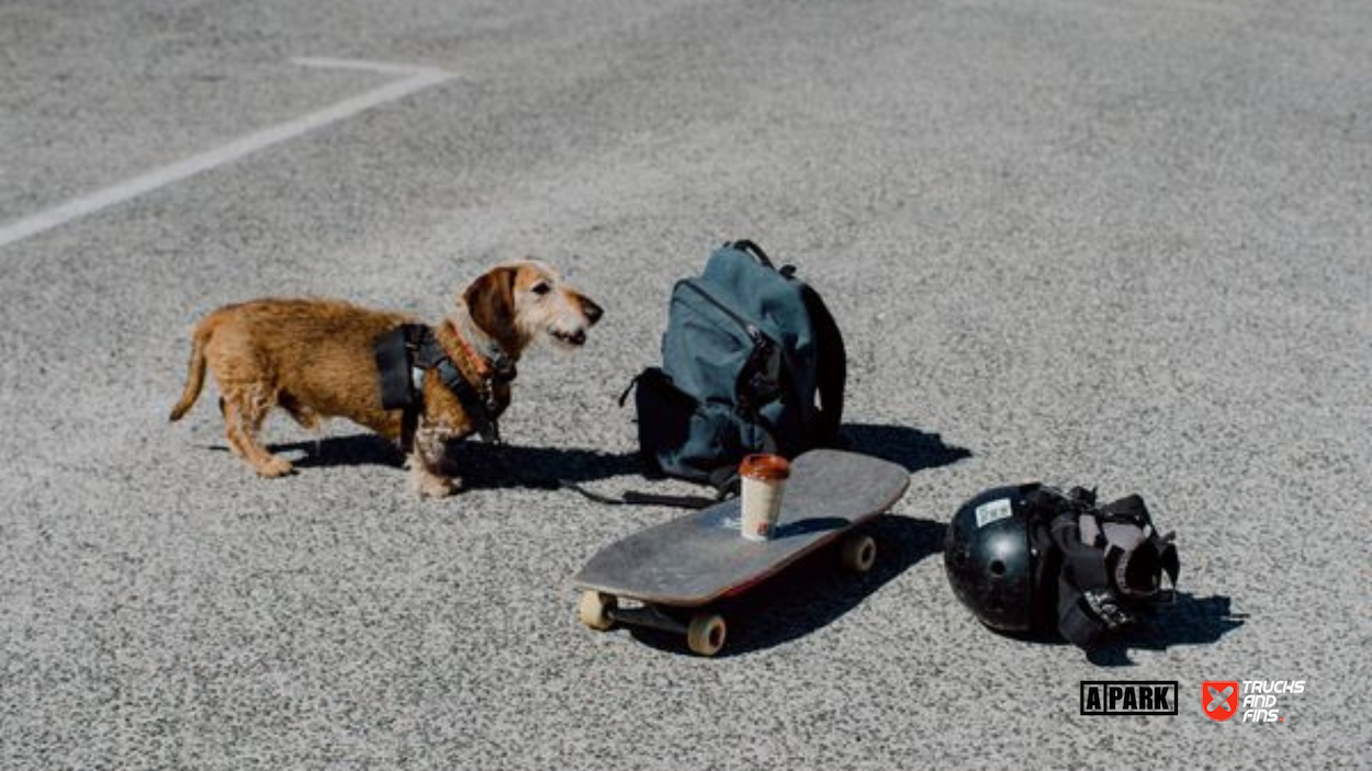 Santo Cruz skatepark